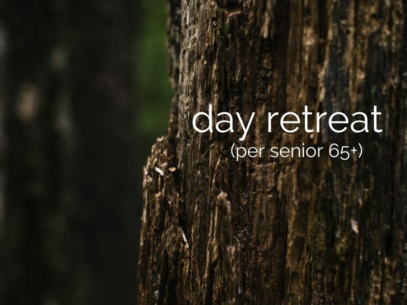 day retreat (per senior 65+)